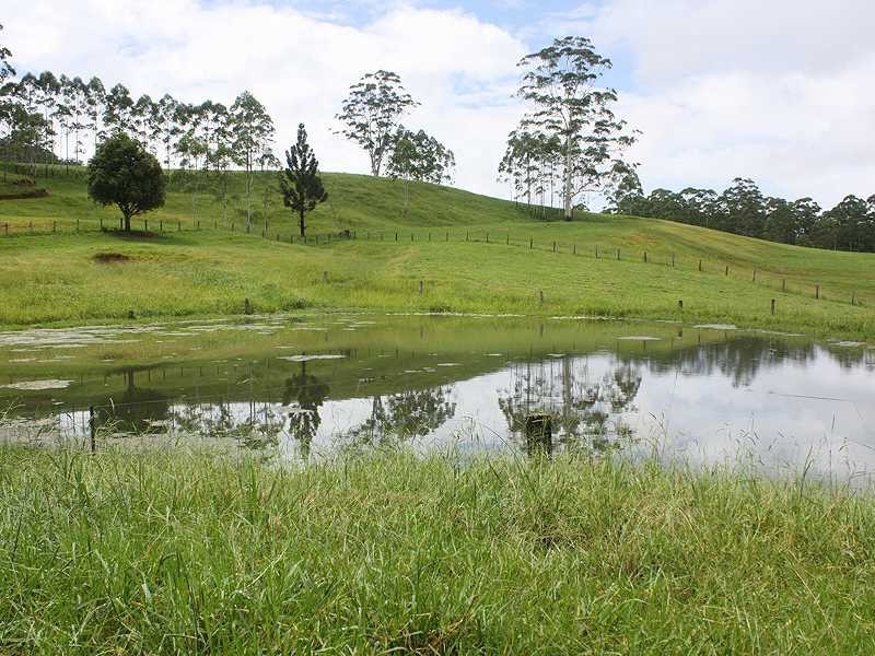 Kyogle NSW 2474