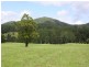 Kyogle NSW 2474