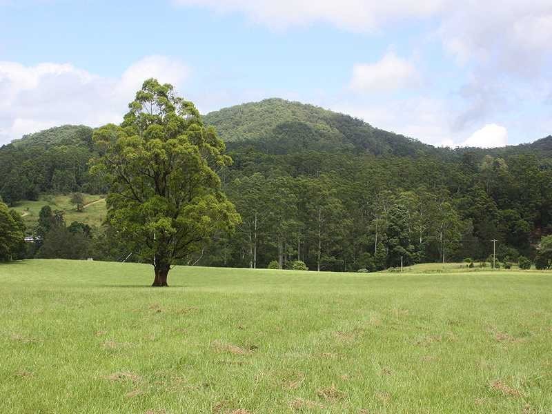 Kyogle NSW 2474