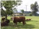 Kyogle NSW 2474