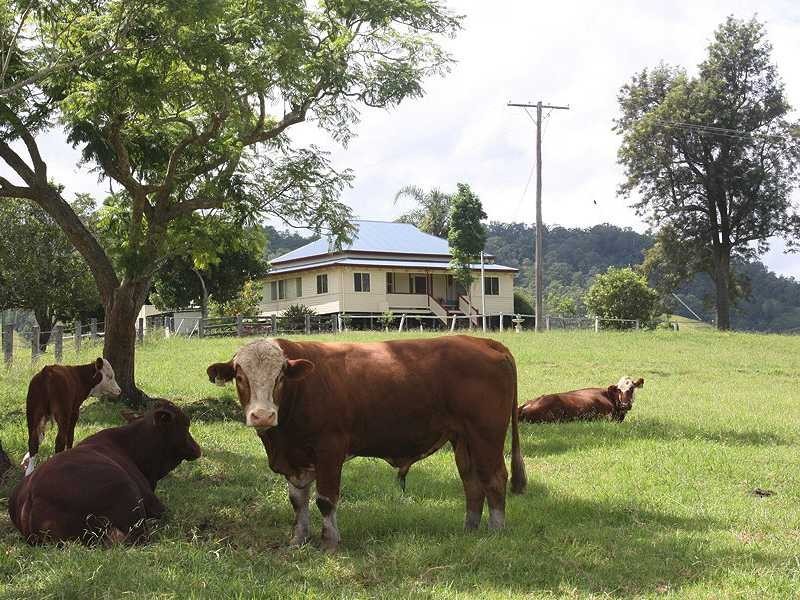 Kyogle NSW 2474