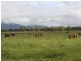Kyogle NSW 2474