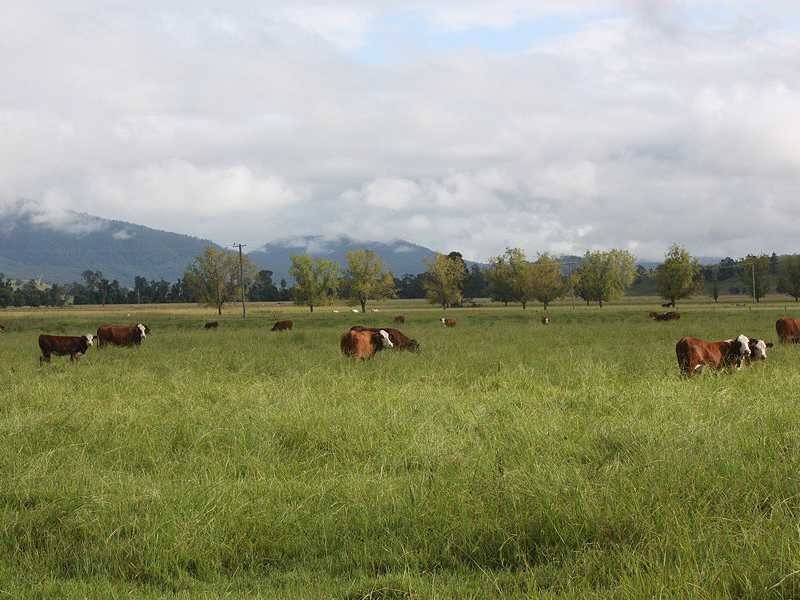 Kyogle NSW 2474