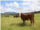 Kyogle NSW 2474