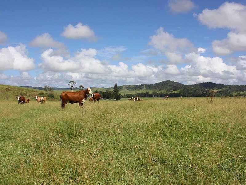 Kyogle NSW 2474