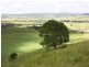 Kyogle NSW 2474