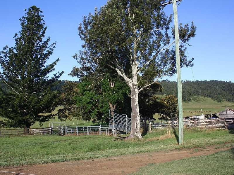 Kyogle NSW 2474