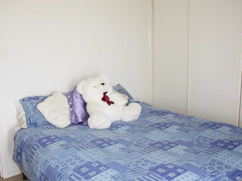 3328 Bentley Road Cedar Point Via, Kyogle NSW 2474