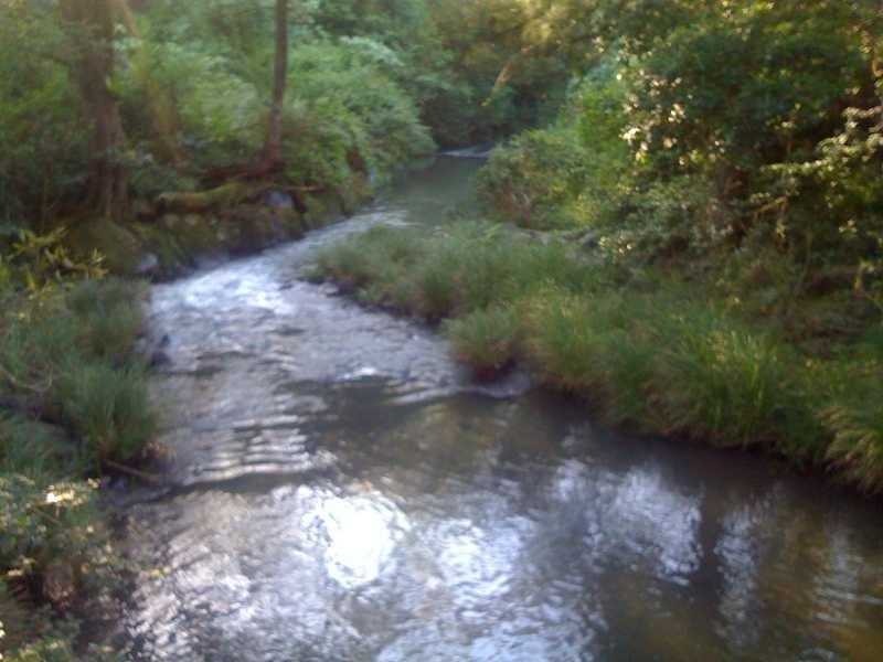 990 Horseshoe Creek Rd, Horseshoe Creek NSW 2474