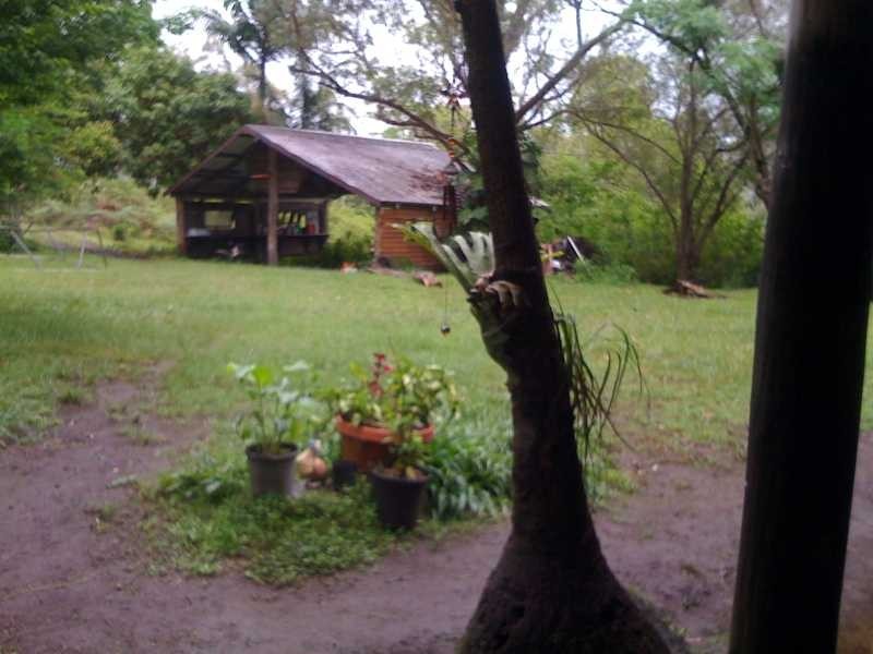 990 Horseshoe Creek Rd, Horseshoe Creek NSW 2474