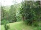990 Horseshoe Creek Rd, Horseshoe Creek NSW 2474