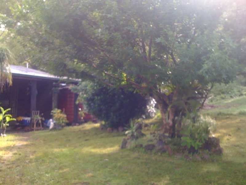 990 Horseshoe Creek Rd, Horseshoe Creek NSW 2474