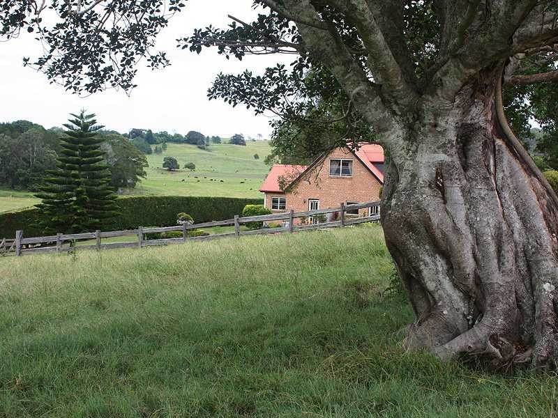 Kyogle NSW 2474