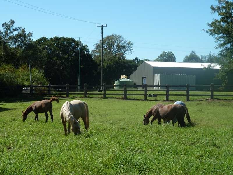 1061 Collins Creek Road Collins Creek Via, Kyogle NSW 2474