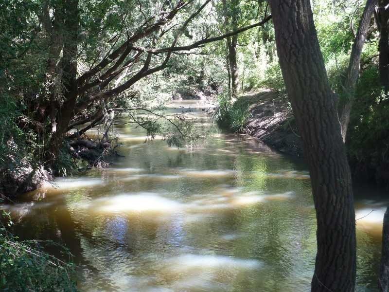 1061 Collins Creek Road Collins Creek Via, Kyogle NSW 2474