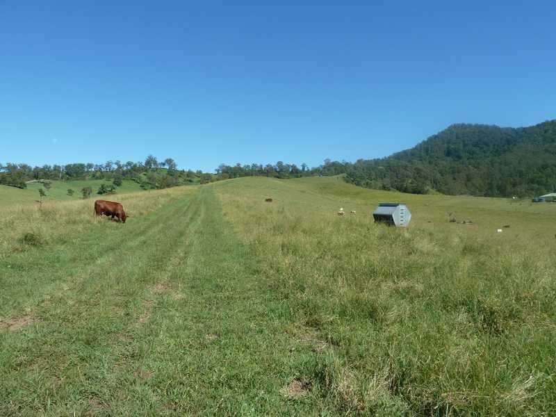 1061 Collins Creek Road Collins Creek Via, Kyogle NSW 2474