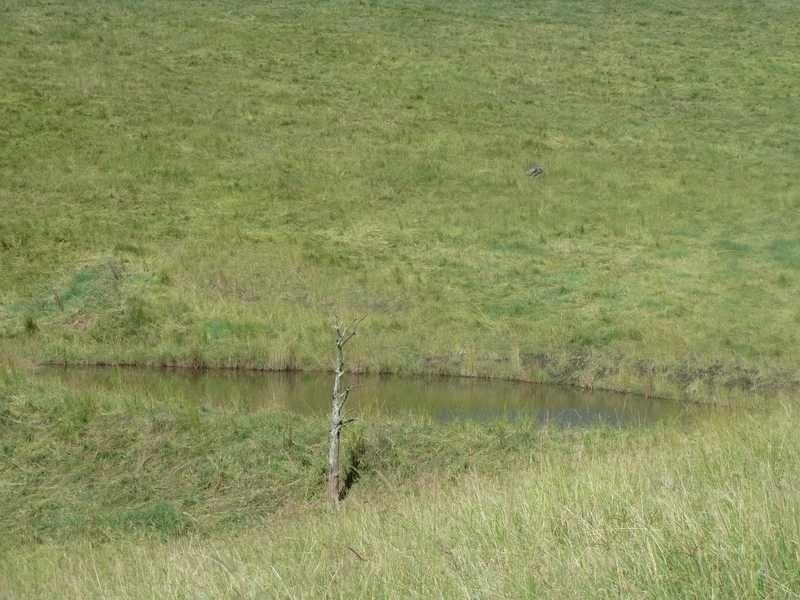 1061 Collins Creek Road Collins Creek Via, Kyogle NSW 2474