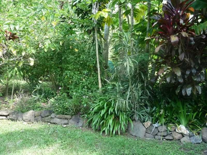 Lot 14 Boorabee Creek Road Boorabee Via, Kyogle NSW 2474