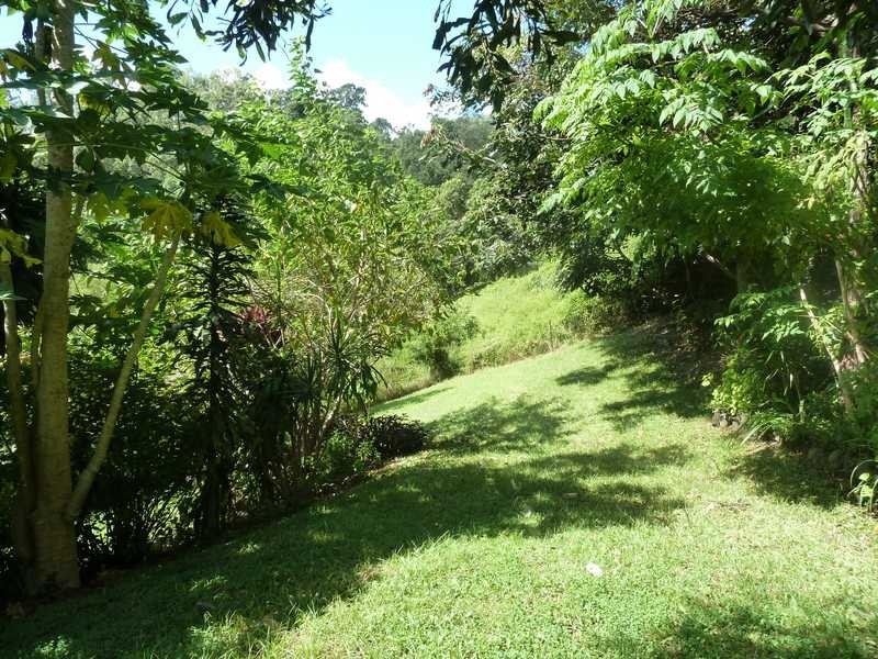 Lot 14 Boorabee Creek Road Boorabee Via, Kyogle NSW 2474