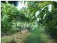 Lot 14 Boorabee Creek Road Boorabee Via, Kyogle NSW 2474