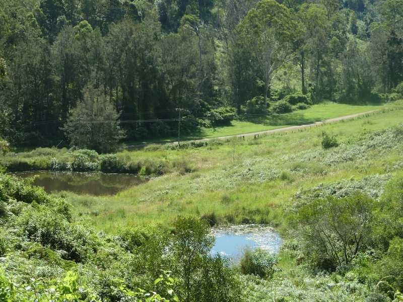 Lot 14 Boorabee Creek Road Boorabee Via, Kyogle NSW 2474