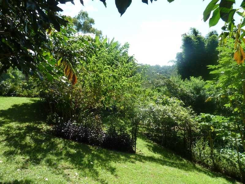Lot 14 Boorabee Creek Road Boorabee Via, Kyogle NSW 2474