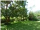 Lot 14 Boorabee Creek Road Boorabee Via, Kyogle NSW 2474
