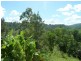 Lot 14 Boorabee Creek Road Boorabee Via, Kyogle NSW 2474