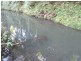 Lot 14 Boorabee Creek Road Boorabee Via, Kyogle NSW 2474
