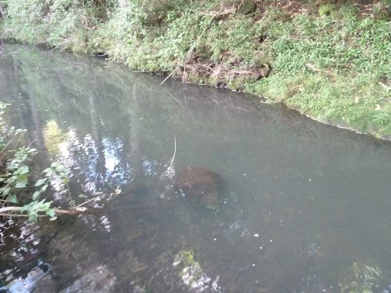 Lot 14 Boorabee Creek Road Boorabee Via, Kyogle NSW 2474