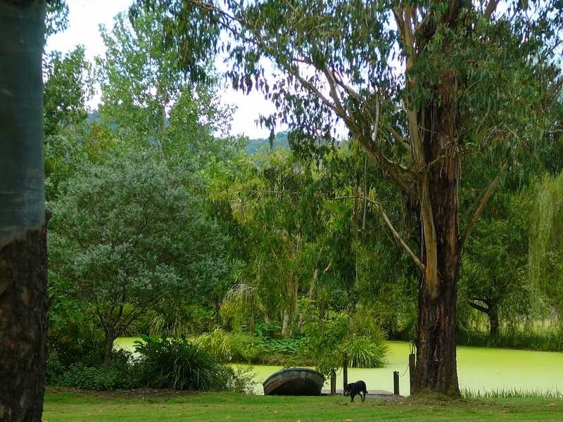 645 Wiangaree Back Road, Kyogle NSW 2474