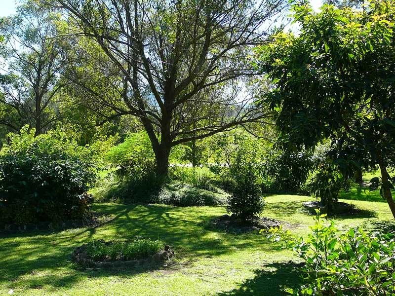 645 Wiangaree Back Road, Kyogle NSW 2474