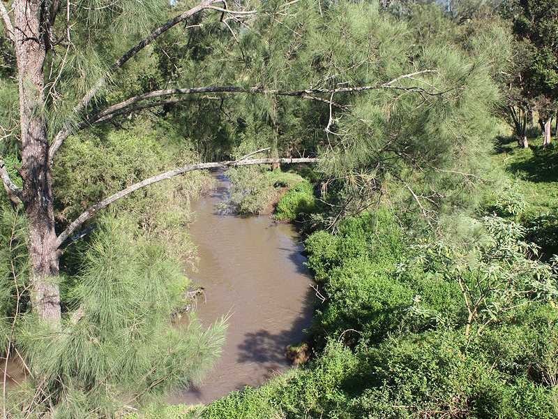 403 Grady’s Creek Road, Gradys Creek NSW 2474