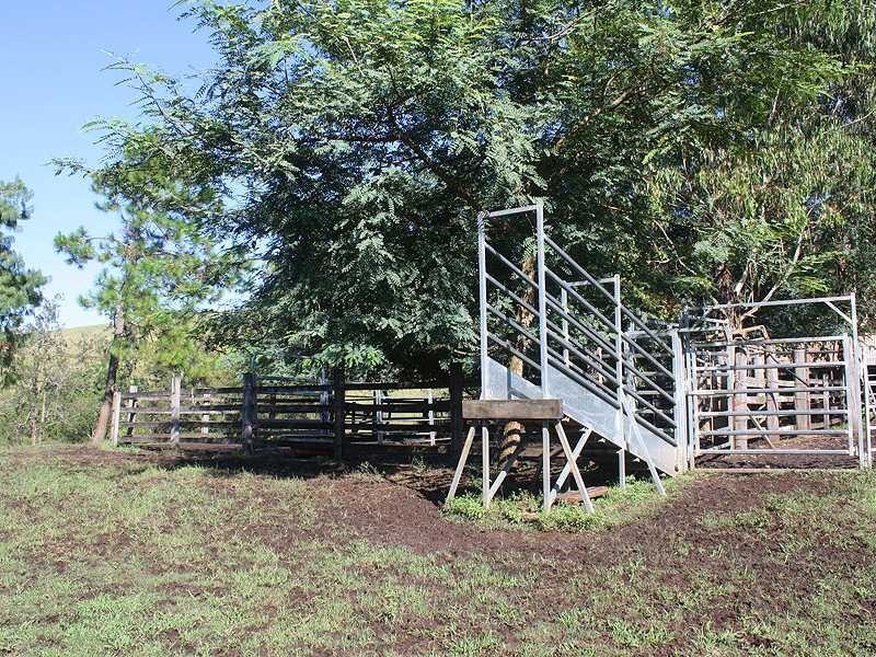 403 Grady’s Creek Road, Gradys Creek NSW 2474