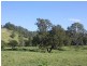 403 Grady’s Creek Road, Gradys Creek NSW 2474