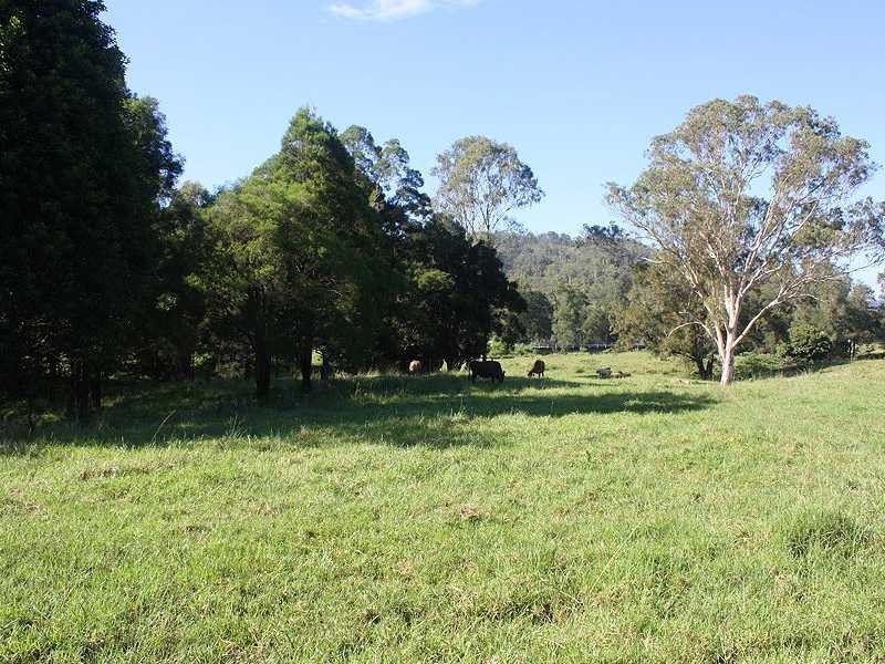 403 Grady’s Creek Road, Gradys Creek NSW 2474