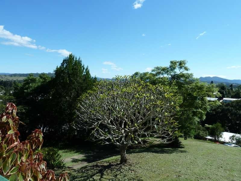29 Geneva Street, Kyogle NSW 2474