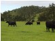 Kyogle NSW 2474