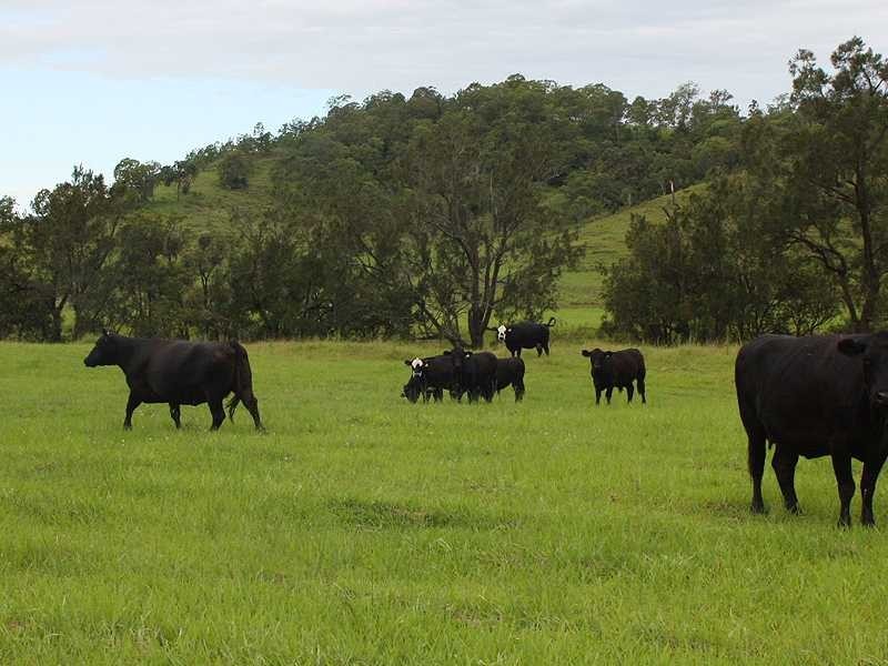 Kyogle NSW 2474