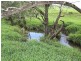 Kyogle NSW 2474