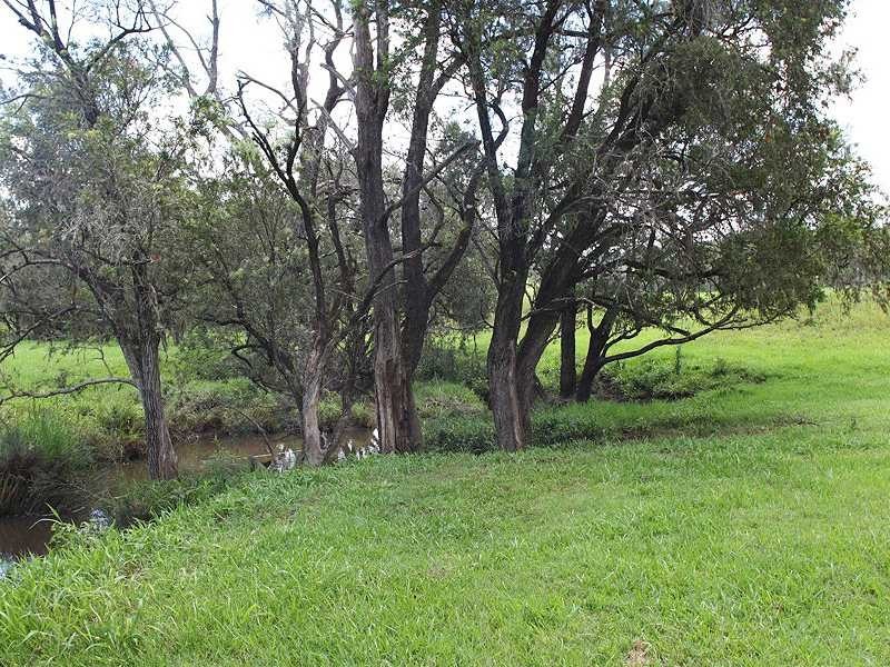 Kyogle NSW 2474