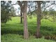 Kyogle NSW 2474