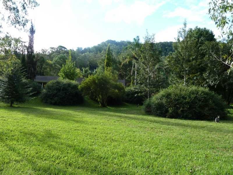 40 Levers Road, Kyogle NSW 2474