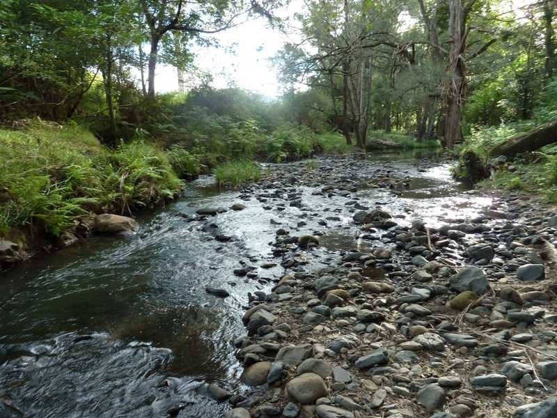 40 Levers Road, Kyogle NSW 2474