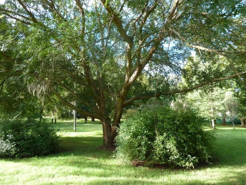 40 Levers Road, Kyogle NSW 2474