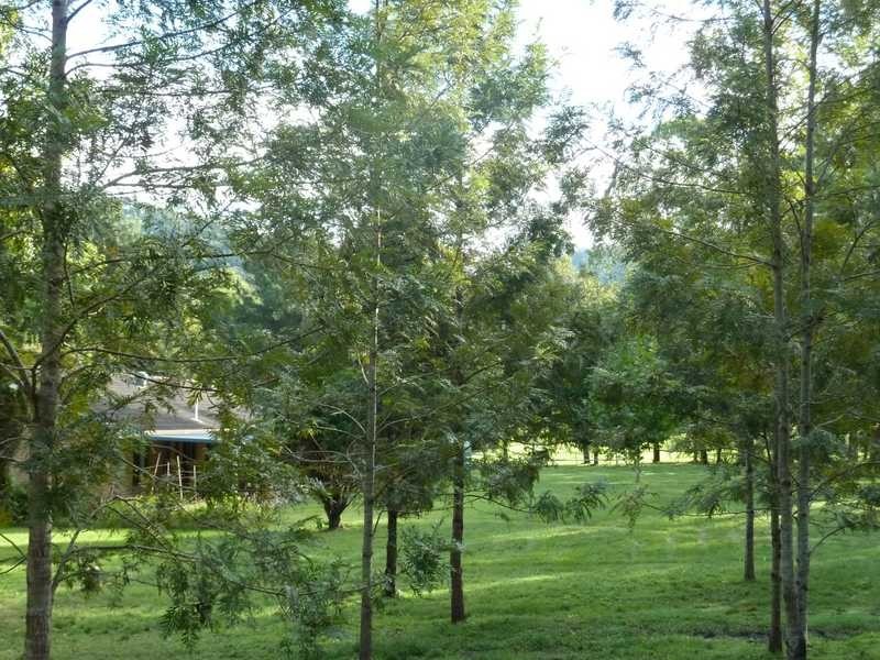 40 Levers Road, Kyogle NSW 2474