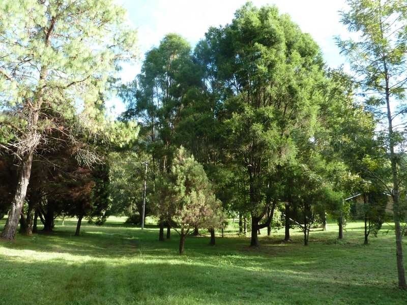 40 Levers Road, Kyogle NSW 2474