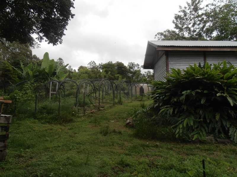 132 Stringy Bark Lane, Kyogle NSW 2474