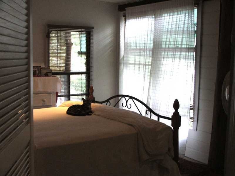 116 Boorabee Creek Road, Boorabee Park NSW 2480