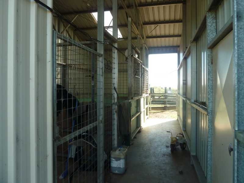 167 Webbs Road, Kyogle NSW 2474